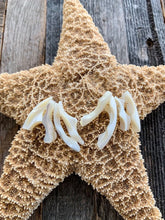 Load image into Gallery viewer, Gold Hoop Earrings | Mother Of Pearl | Beach Style | Shell | Bohemian